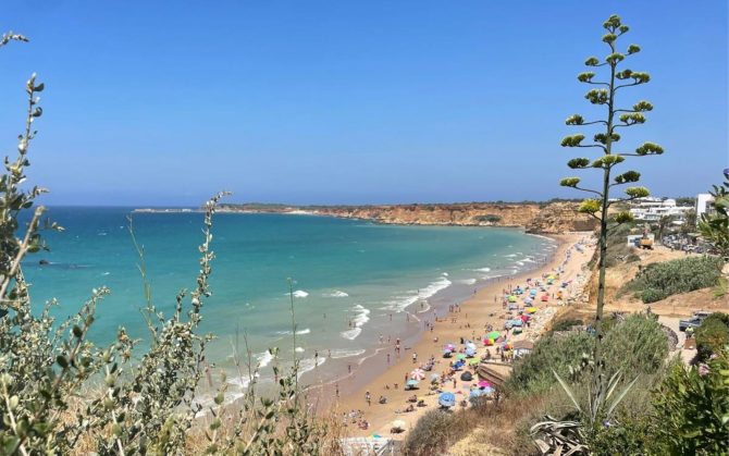 Conil (1)