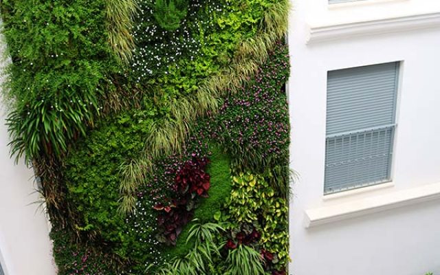 Foto patio interior Residencial Goyeneta 17 junto al Salvador - Sevilla Centro