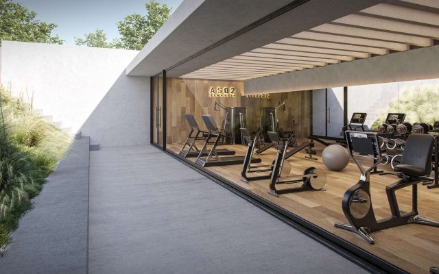 bnn_allendesalazar_19