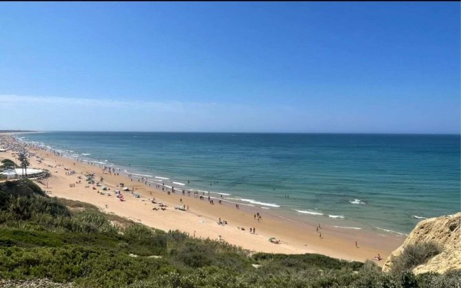 bnn_conil_3
