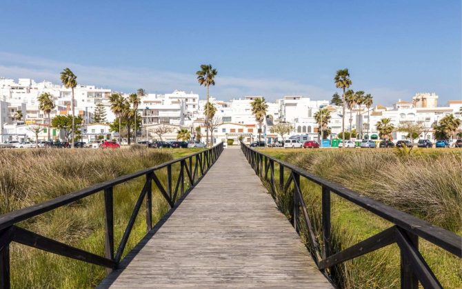 bnn_conil_7