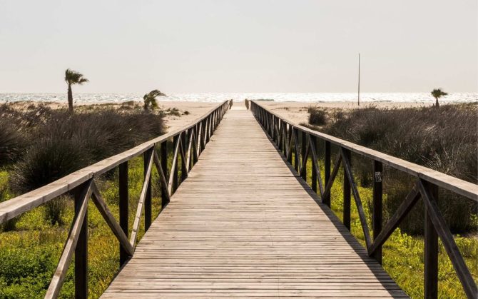 bnn_conil_8