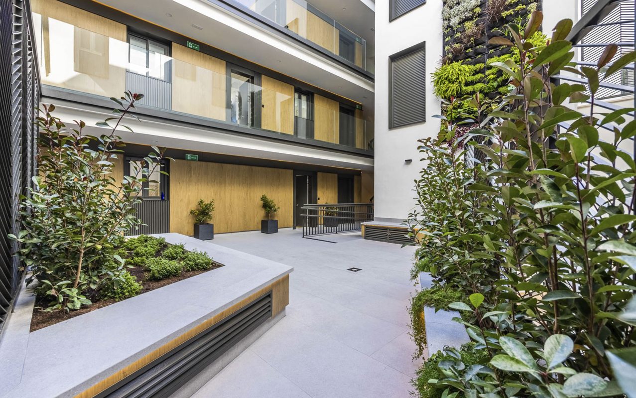 bnn_sevilla_rodrigo_2