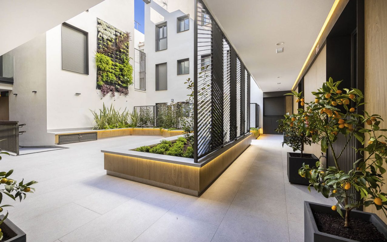 bnn_sevilla_rodrigo_3